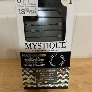 6ft. LED light string